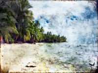 Coconut Palm Beach