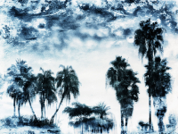 Palm Ice 2.jpg